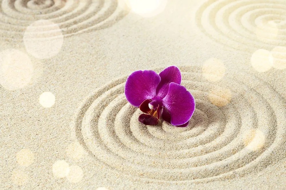 Carta da parati – Giardino Zen di sabbia