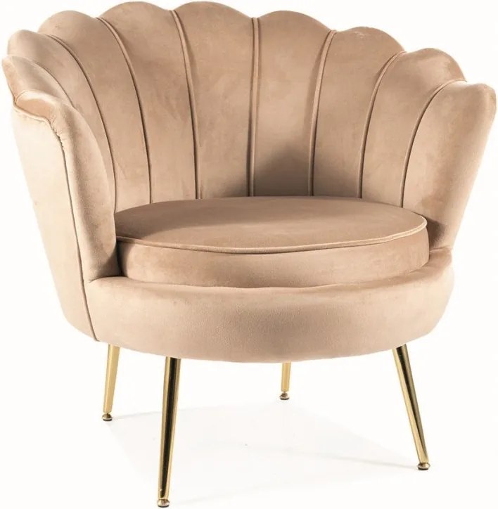 Poltrona Camelia 1 in velluto beige - Blu28/oro