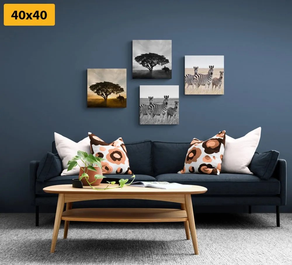 Set di quadri – Animali che vivono nella Savana