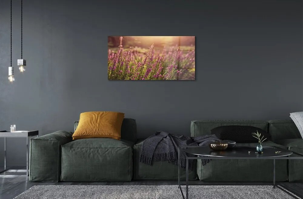 Quadro in vetro Campo di heather 100x50 cm 2 appendini