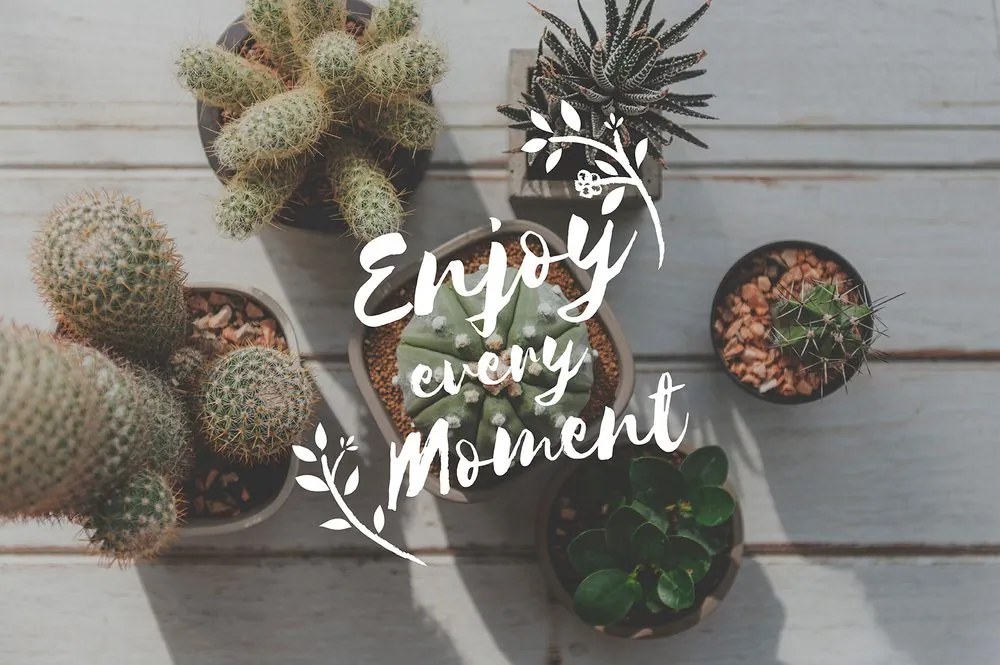 Carta da parati – Citazione - Enjoy every moment