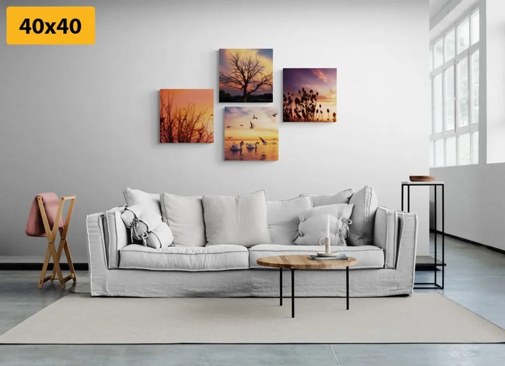 Set di quadri – Natura affascinante
