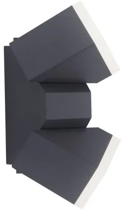 Paul Neuhaus 9722-13 - Applique LED da esterno RYAN 2xLED/5W/230V IP54