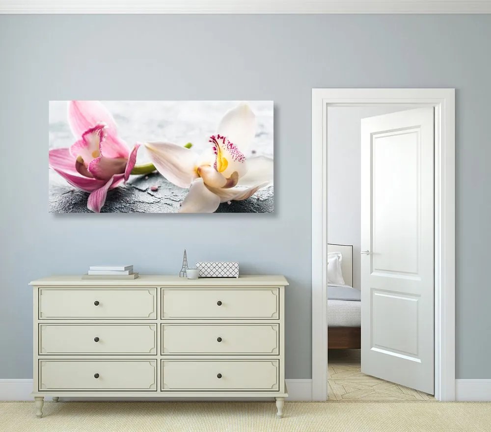Quadro su tela – Fiori di orchidea