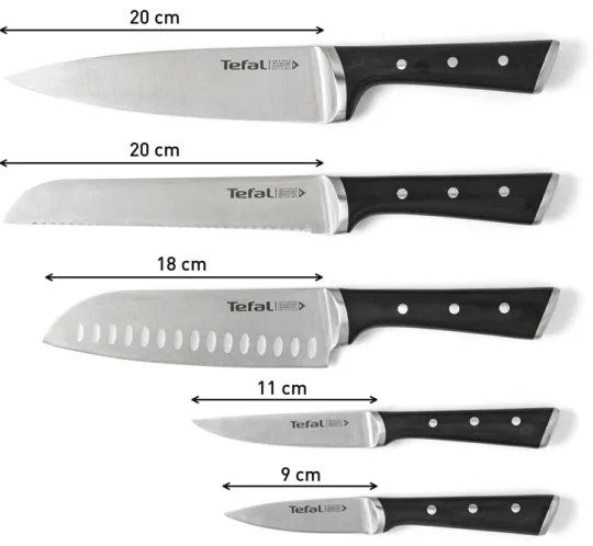 Tefal - Set di coltelli da cucina con supporto ICE FORCE 6 pz