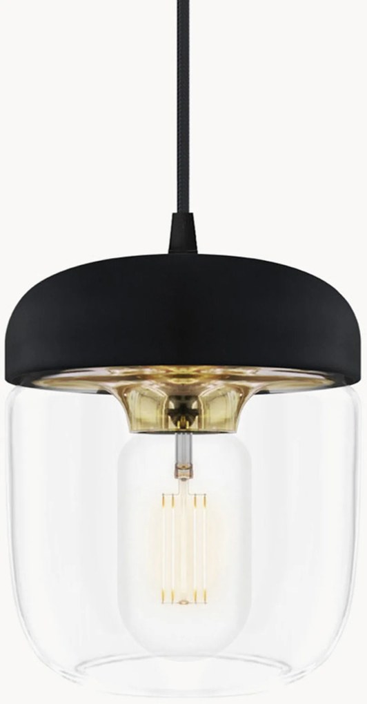 Lampada a sospensione Acorn