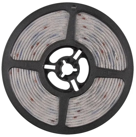 Striscia LED RGBW Dimmerabile 5m LED/24W/12V IP65