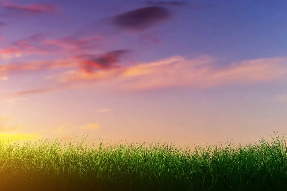 Carta da parati – Tramonto sul prato