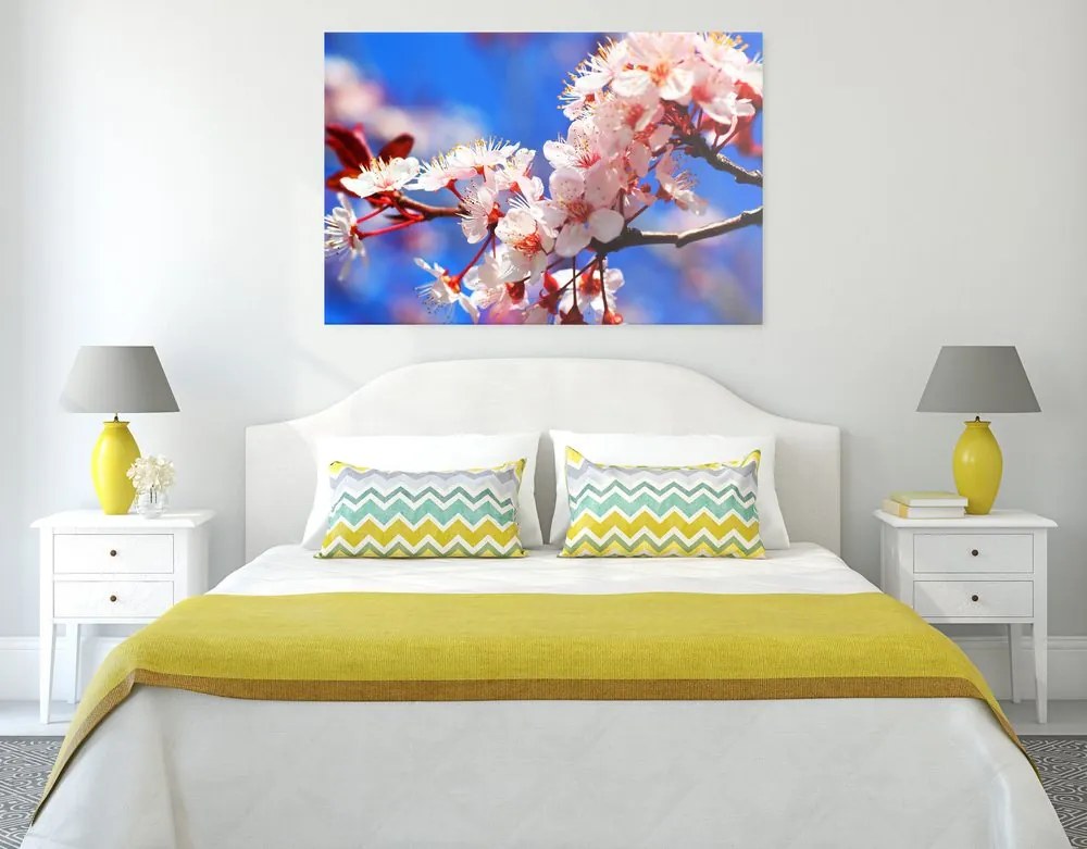 Quadro su tela – Fiore di ciliegio
