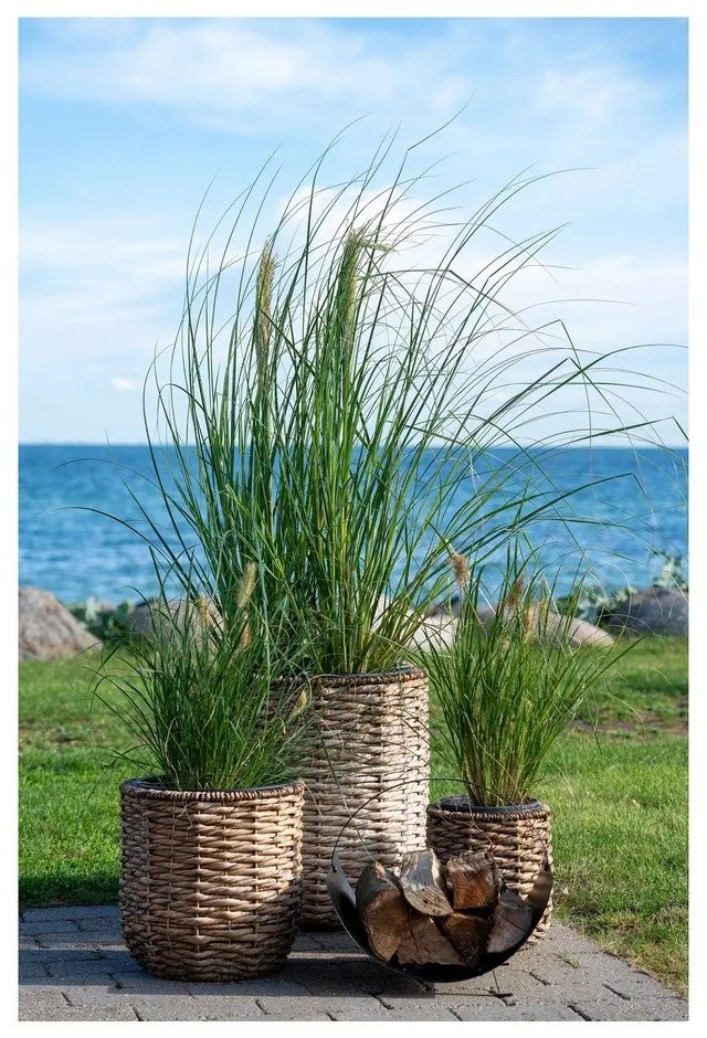 Set di vasi in giacinto d'acqua 3 pezzi ø 49 cm Hanoi - House Nordic