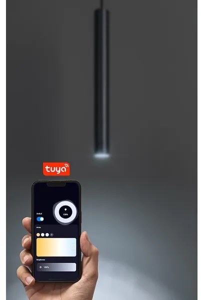 Rabalux 70132 - Lampadario a sospensione con filo LED dimmerabile per sistema ferroviario monofase LiTrack LED/5W/24V