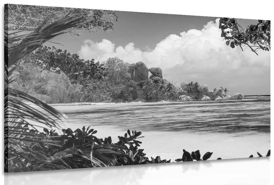Stampa su tela – Spiaggia meravigliosa sull'isola di La Digue in bianco e nero