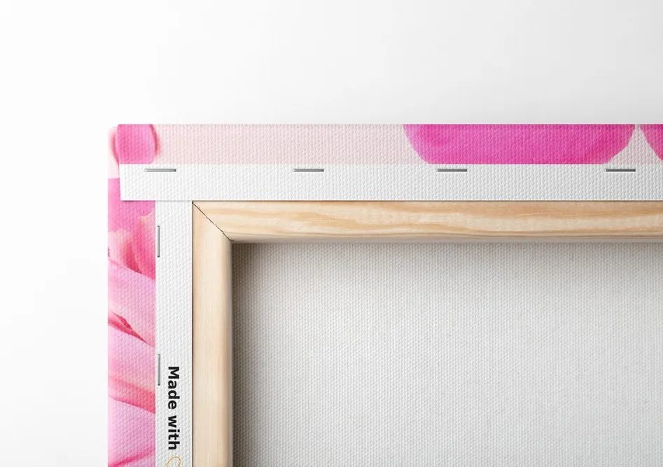 Quadro su tela – Peonie in rosa