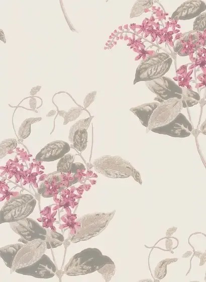 Cole & Son Carta da parati Madras Violet - Pink