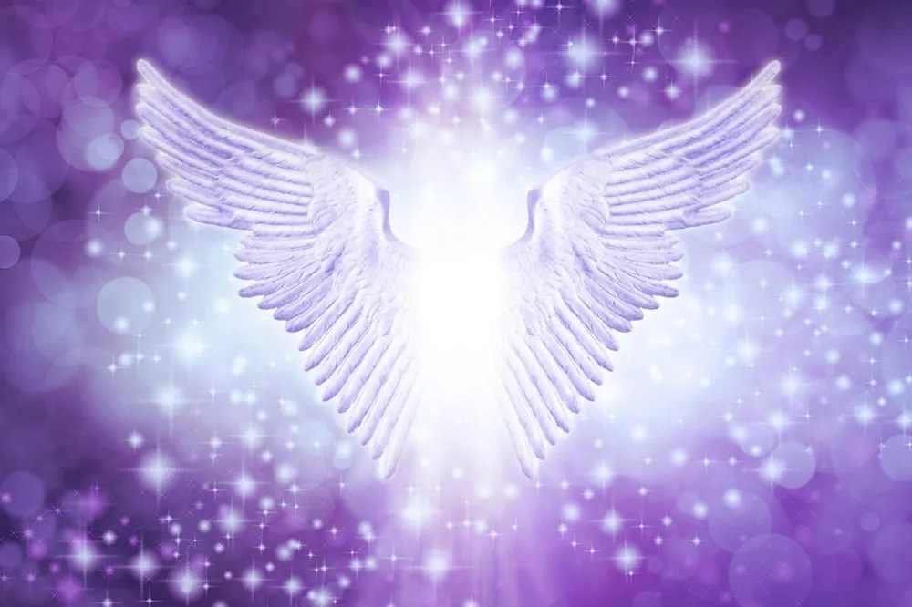 Carta da parati – Ali con elementi astratti