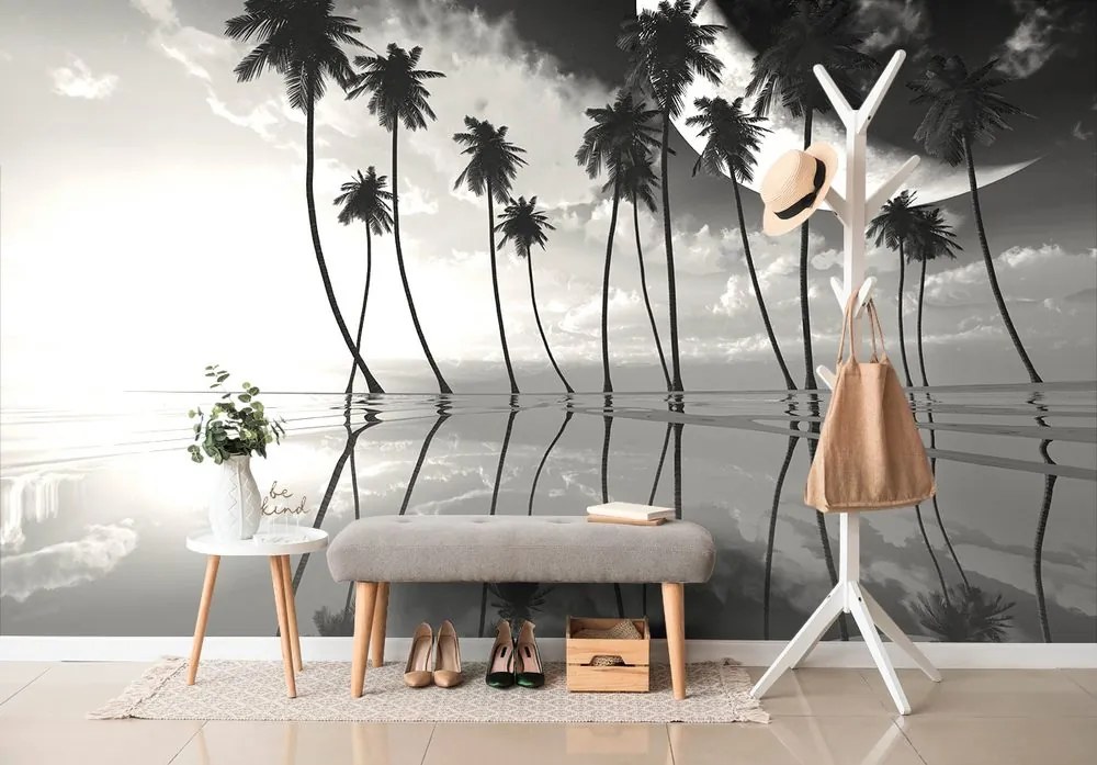 Carta da parati – Palme tropicali in bianco e nero