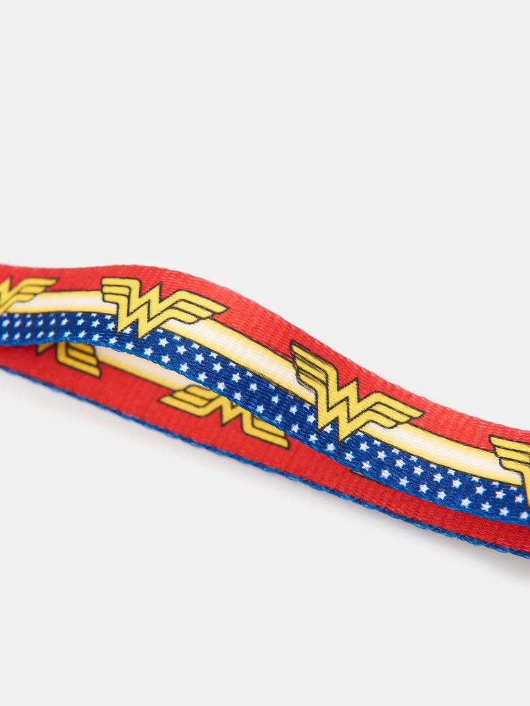 Sinsay - Collare per cane Wonder Woman - multicolor