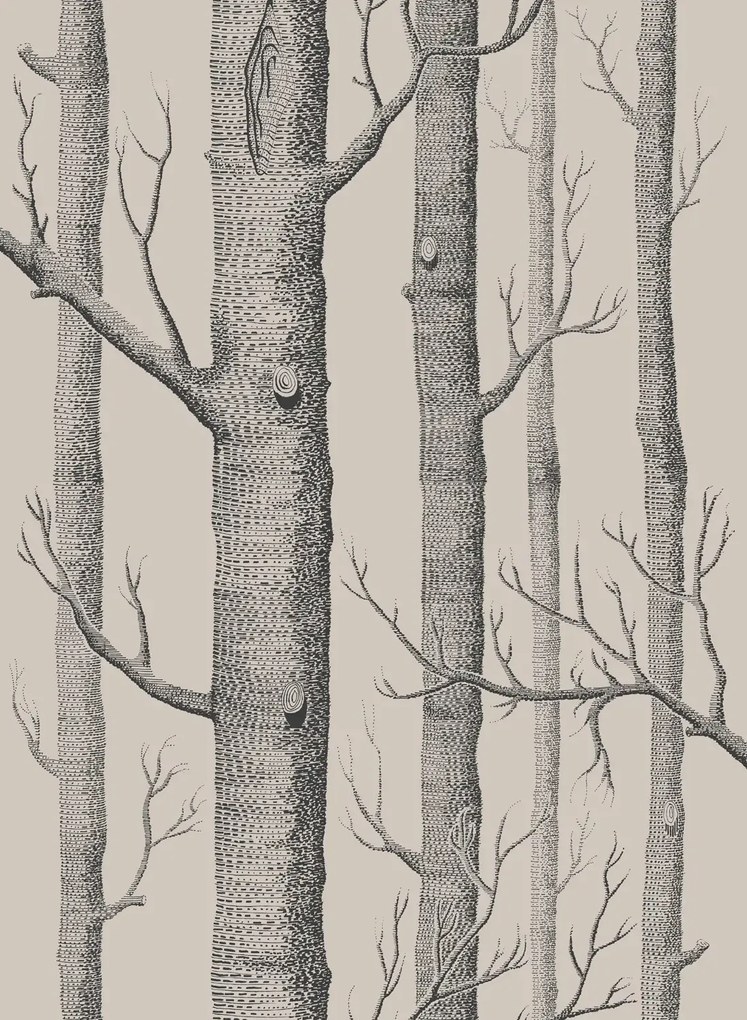 Tapete Woods Icons von Cole and Son - Linen & Charcoal