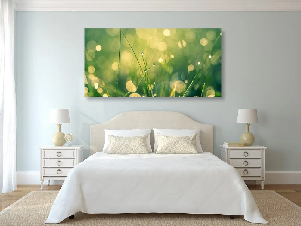 Quadro su tela – Rugiada mattutina