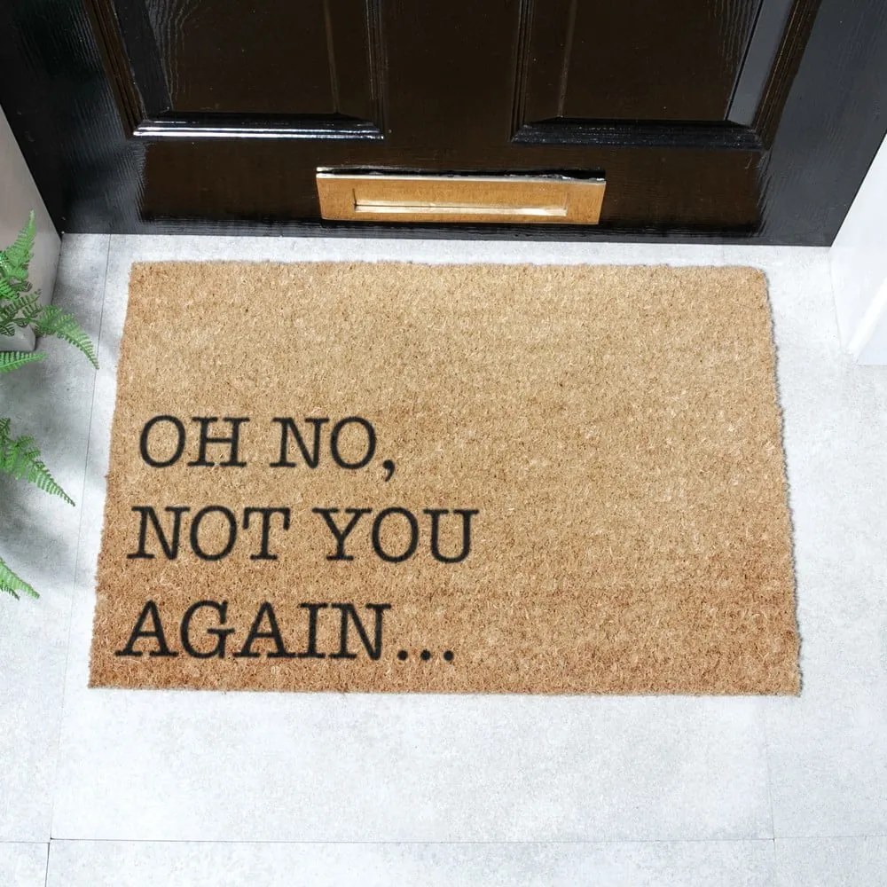 Zerbino in cocco 40x60 cm Oh No Not You Again - Artsy Doormats