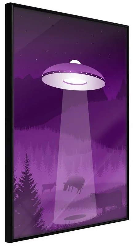 Poster Flying Saucer