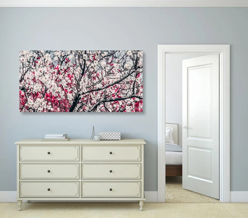 Quadro su tela – Fiori di pesco