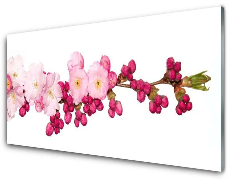 Quadro su vetro acrilico Ramoscello di fiori di ciliegio 100x50 cm 2 appendini
