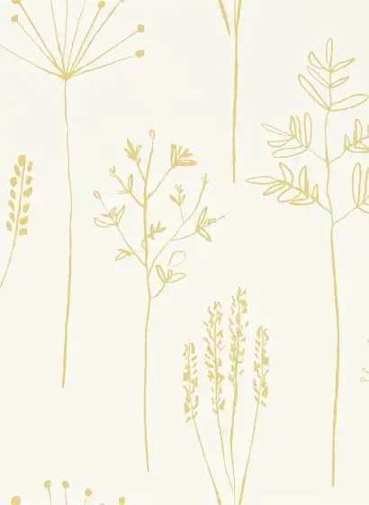 Gräser Tapete Stipa von Scion - Honey