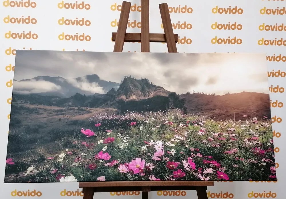 Quadro su tela – Prato di fiori in fiore