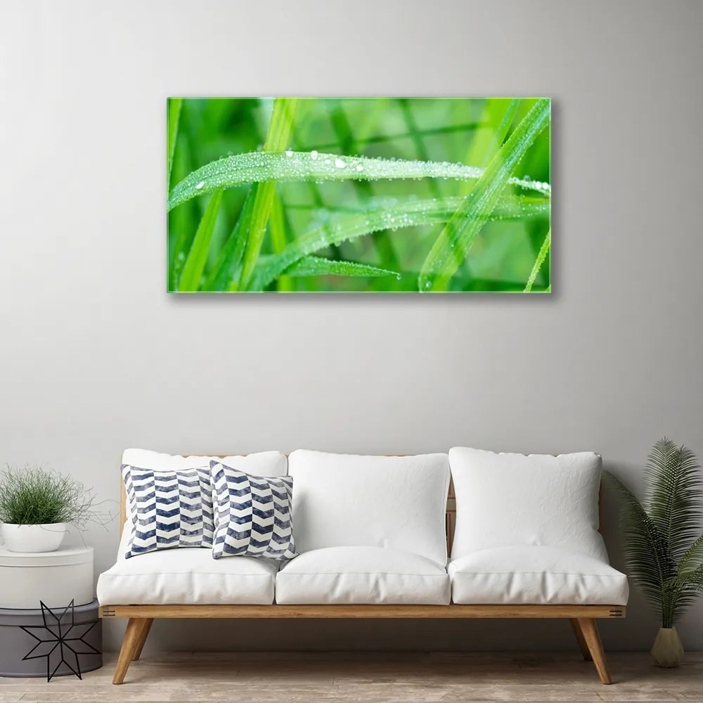 Quadro in vetro Gocce di foglie di natura rosata 100x50 cm