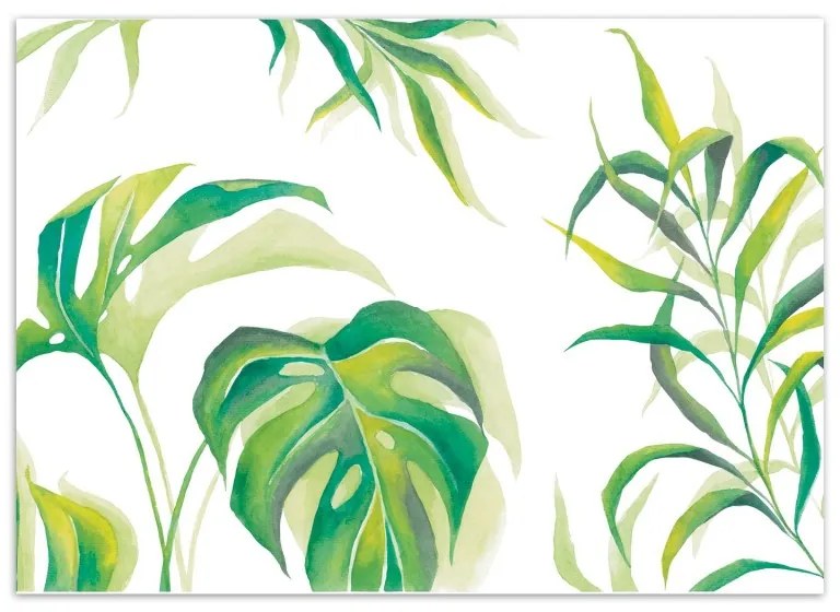 Carta Da Parati, Monstera Foglia Piante Verde