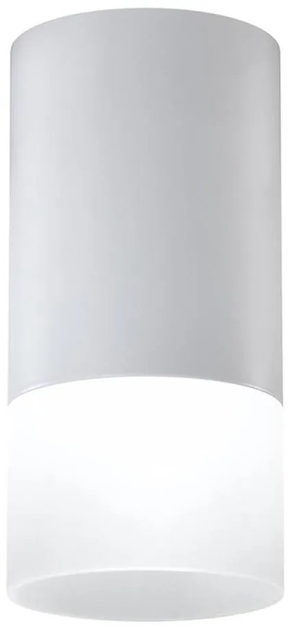 Faretto TUBA 1xGU10/15W/230V grigio/bianco