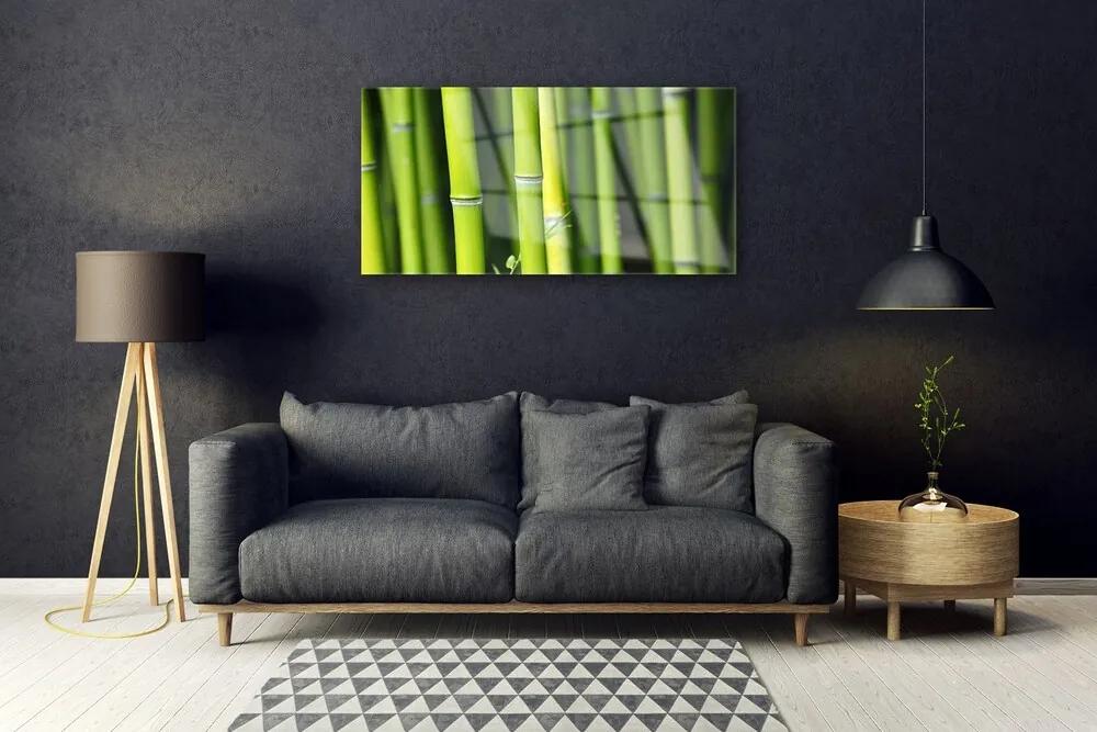 Quadro acrilico Pianta della natura di bambù 100x50 cm