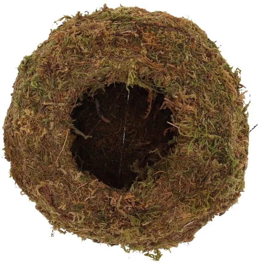 Vaso ø 14,5 cm Kokedama - Esschert Design