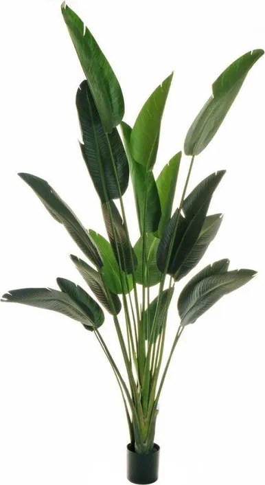 Pianta artificiale Strelizia in vaso di plastica H 240 cm ø 18 cm