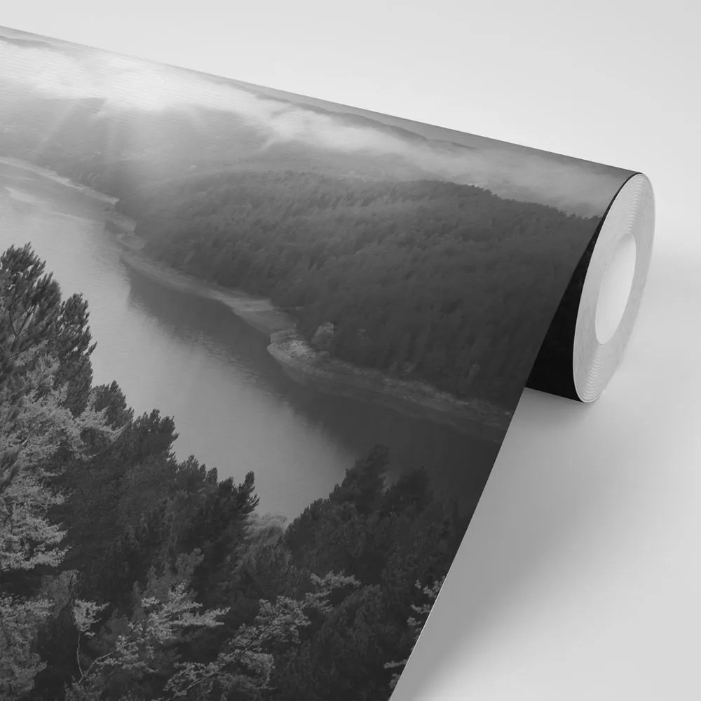 Carta da parati autoadesiva – Fiume nel mezzo della foresta in bianco e nero