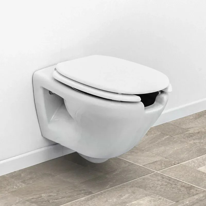 Coppia sanitari sospesi per disabili con apertura frontale e copriwc