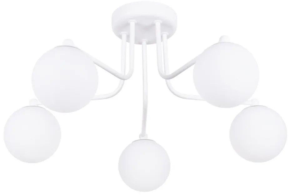 Sollux SL.1660 - Lampadario a sospensione con supporto rigido ASTRAL 5xG9/8W/230V bianco