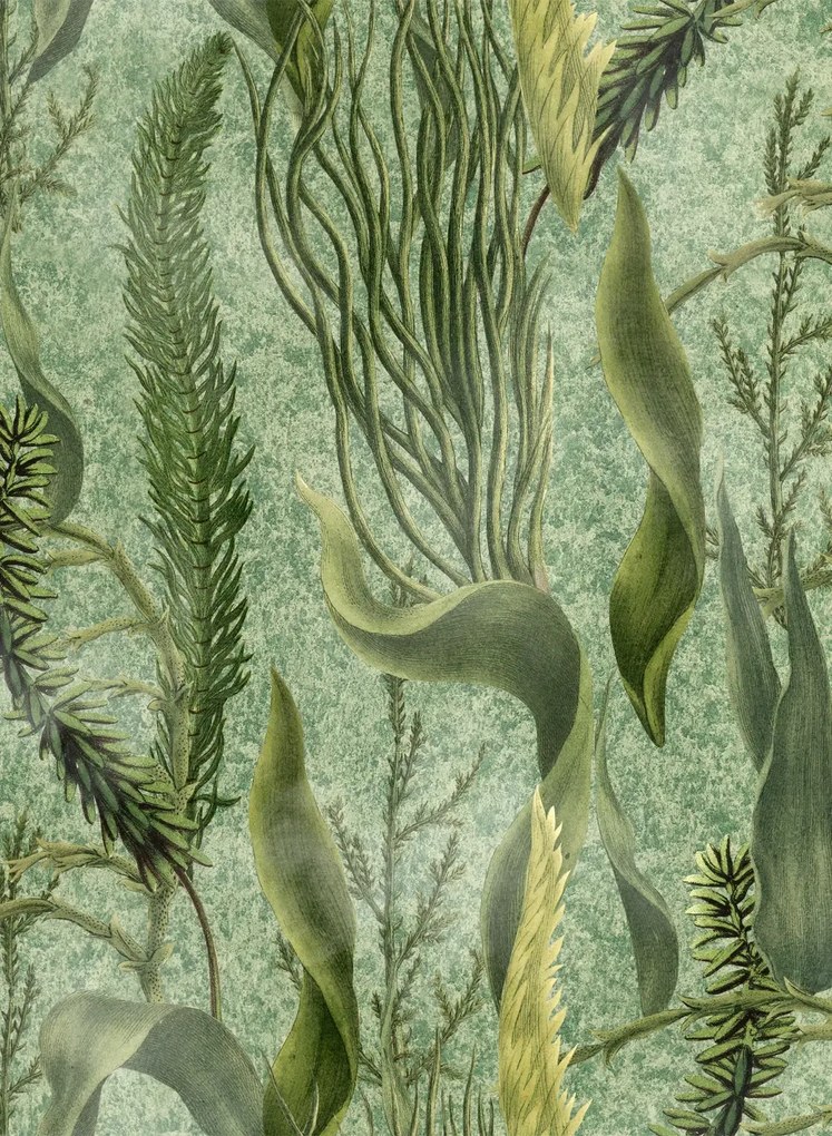 Mindthegap Carta da parati Aquatic Plants - WP20717