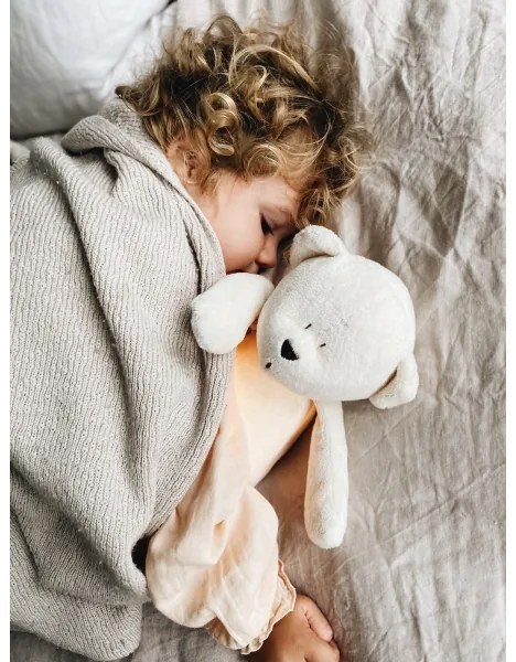 Moonie - Amico di coccole con una melodia e luce orso argento