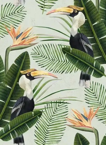 Mindthegap Carta da parati Birds of Paradise - WP20092