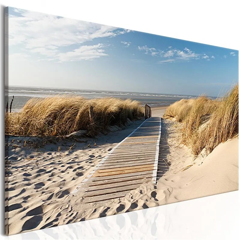 Quadro Spiaggia selvaggia  Colore Azzurro, Dimensioni e Misure 135x45