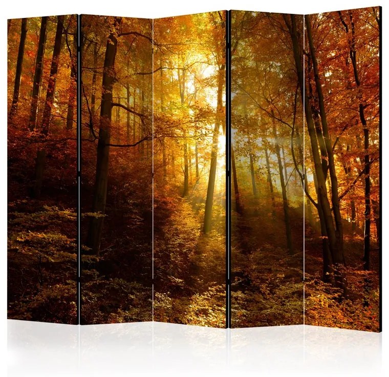 Paravento  Autumn Illumination II [Room Dividers]  Colore ---, Dimensioni e Misure 225x172