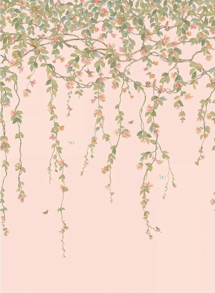 Cole & Son Carta da parati Hummingbirds Flora - Tangerine/ Olive on Blush