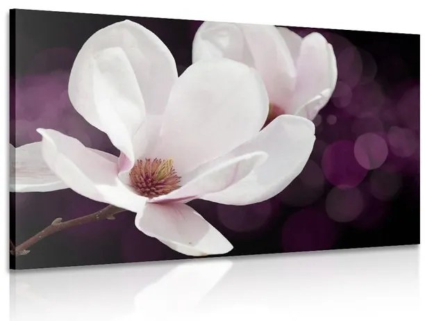 Quadro su tela – Fiore di magnolia su sfondo astratto