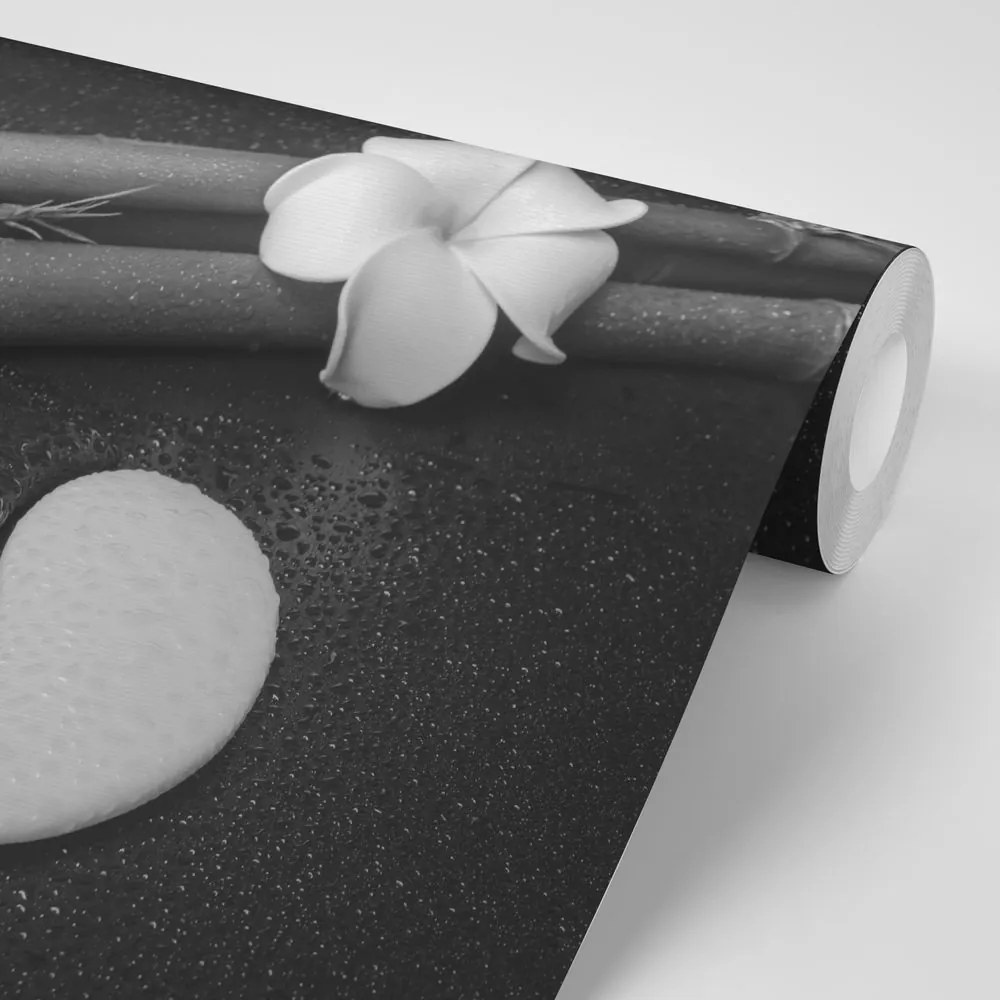 Carta da parati – Natura morta in bianco e nero con Yin e Yang