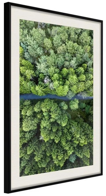 Poster  Forest from a Bird's Eye View  Cornice Quadri Cornice nera con pass-partout, Larghezza x Altezza Home decor 40x60