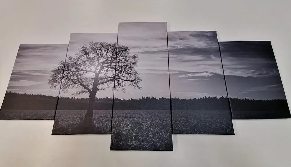 Quadri 5 pezzi – Albero solitario in bianco e nero