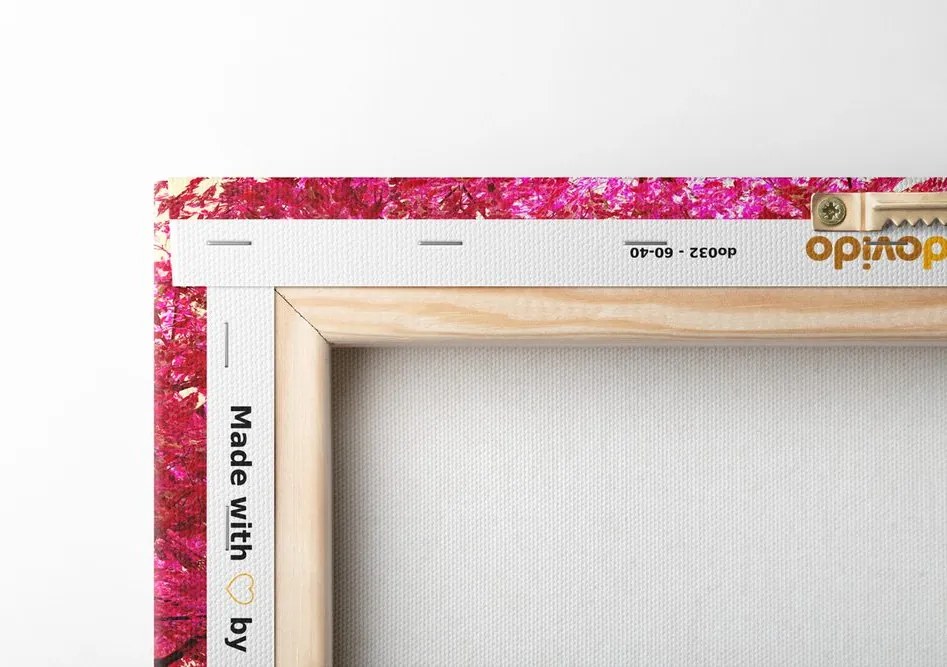 Quadro su tela – Magici alberi di ciliegio in fiore