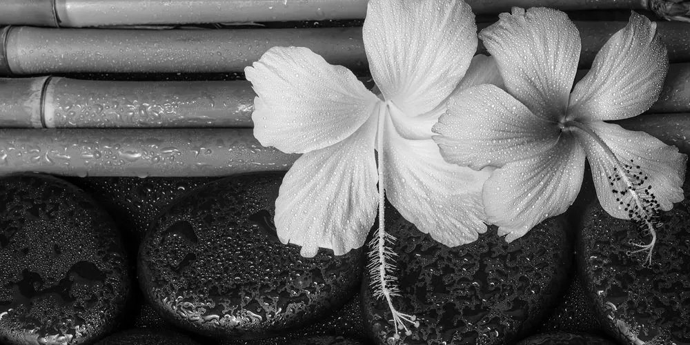 Stampa su tela – Natura morta wellness in bianco e nero